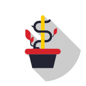 money tree icon